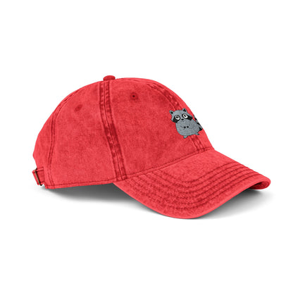 Vintage Raccoon Embroidered Baseball Cap | Washed Cotton Dad Hat